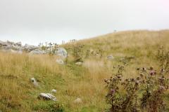 IMG_9885
