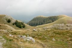 IMG_9890