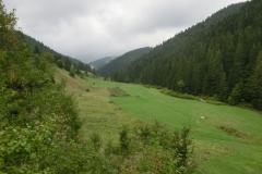 CIMG2898