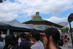 IMG_0378
