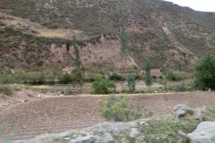 CIMG6221
