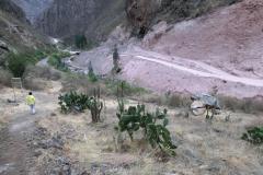 CIMG6282