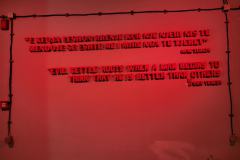 20241003_181259