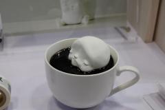 DSCF8596