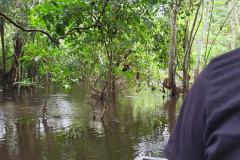 20260428_110943-frame-at-0m12s