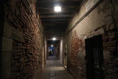 IMG_1245