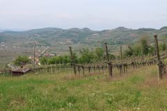 IMG_1667