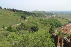 IMG_1699