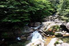 DSCF9293